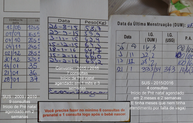 Cartão da Gestante entenda o RG da Gestante  Casa da Doula