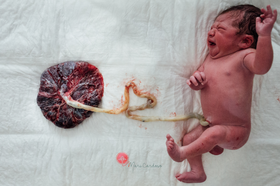 Bebê ligado a placenta