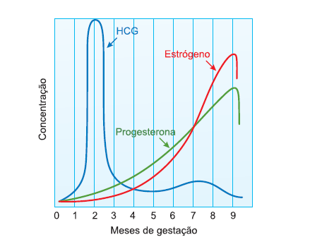 Beta HCG: quando dosar o hormônio da gravidez? - RPT