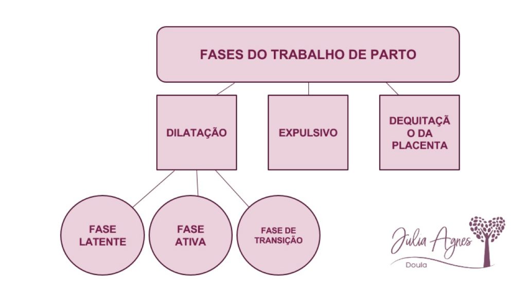 Conheca As 3 Fases Do Trabalho De Parto Trabalho De Parto Fases Do ...