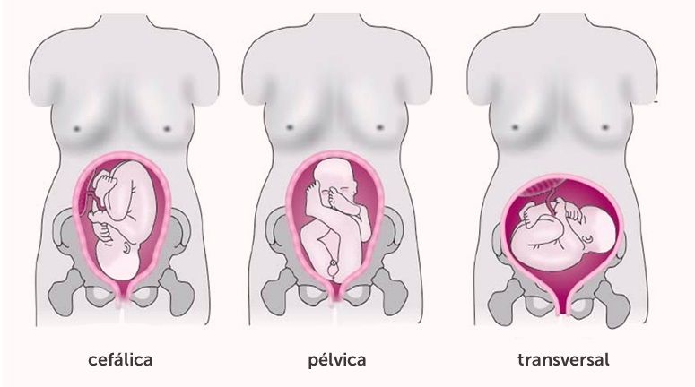 O que é posição fetal?