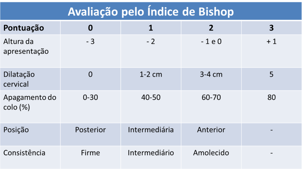 Bishop Casa Da Doula 